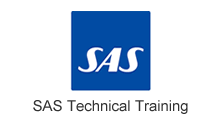 SAS Technical Services